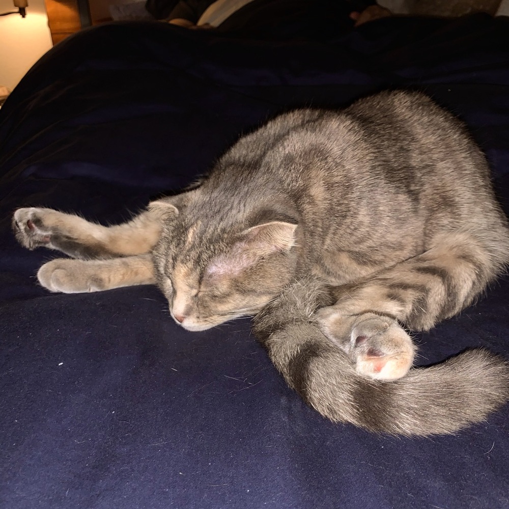 Dreaming of Offers!